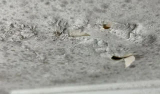 Peritagem de infiltrações em Lisboa realizada pela Fermorel com inspeção técnica de terraço que apresentava empolamento de pintura devido à humidade