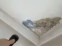 Peritagem de infiltrações